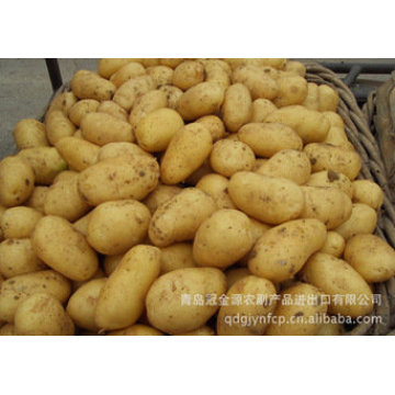 Batata Fresca Nova Qualidade Superior (150g e acima)